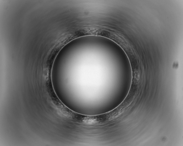 X0000099580602200805161237