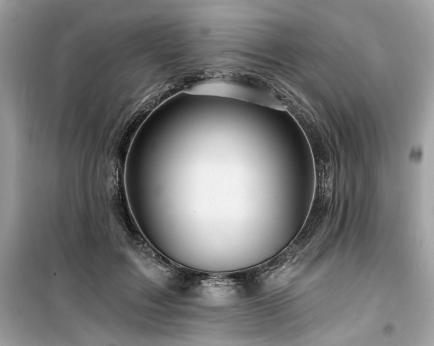 X0000099580603200805161237