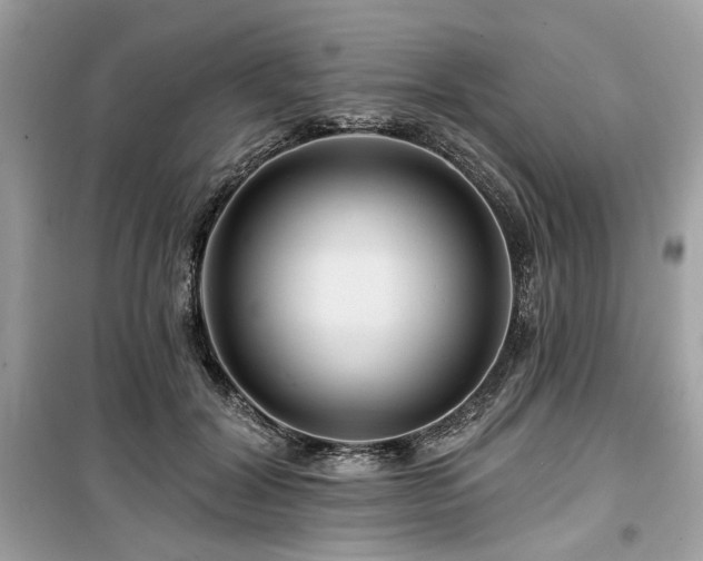 X0000099580604200805161237