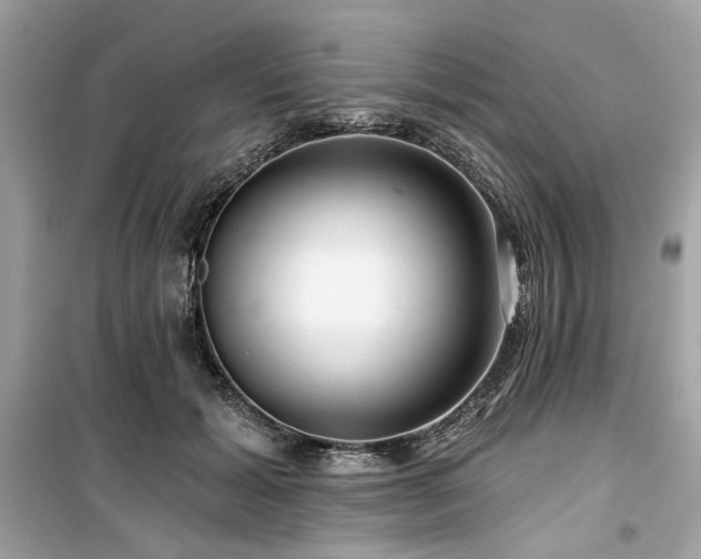 X0000099580605200805161237