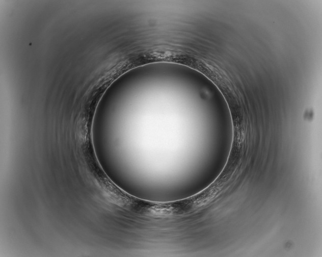 X0000099580606200805161237