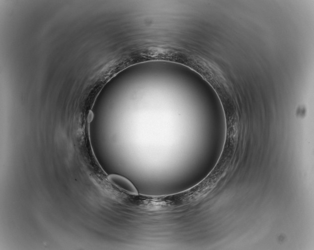 X0000099580607200805161237