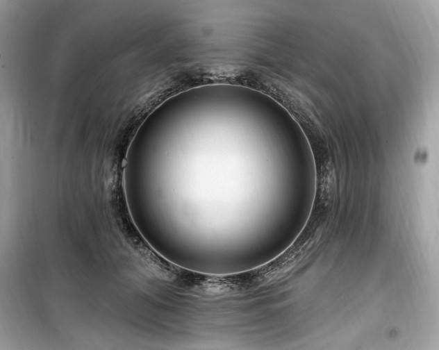 X0000099580608200805161237