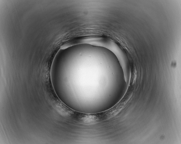X0000099580609200805161237