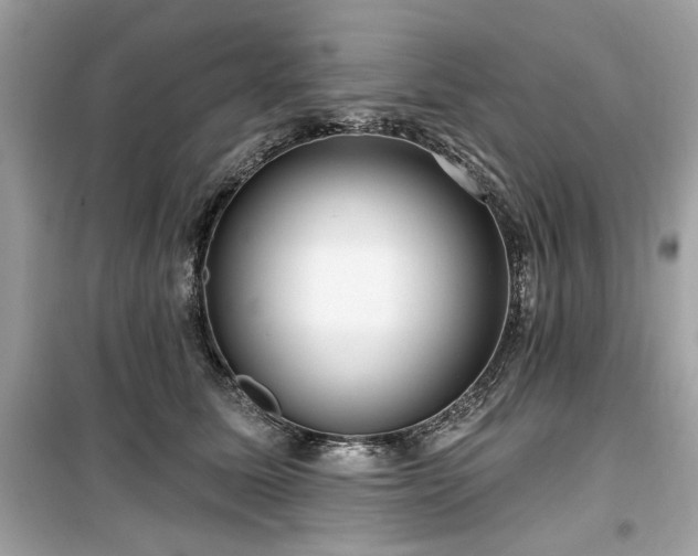 X0000099580611200805161237