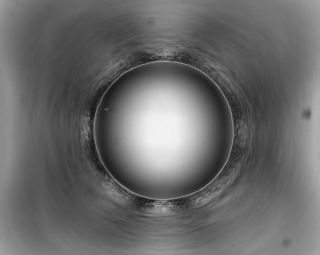 X0000099580612200805161237