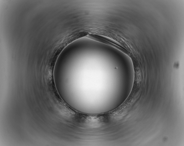 X0000099580613200805161237