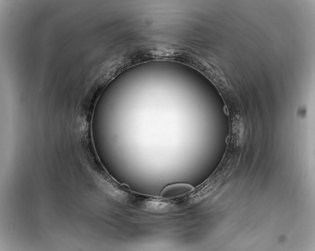 X0000099580614200805161237