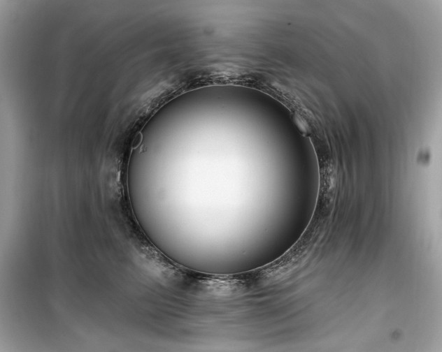X0000099580615200805161237