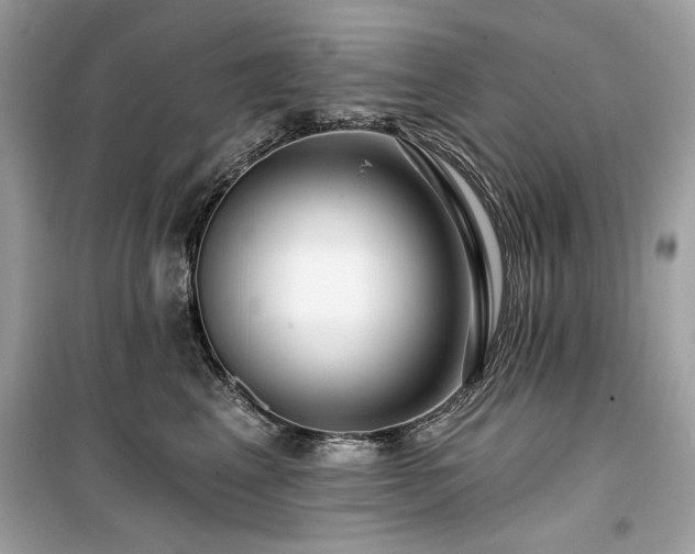 X0000099580617200805161237