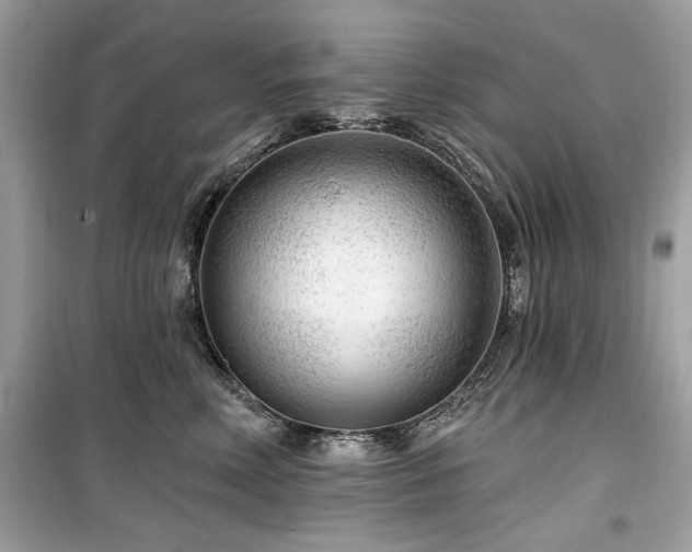 X0000099580618200805161237