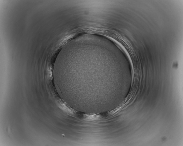 X0000099580621200805161237