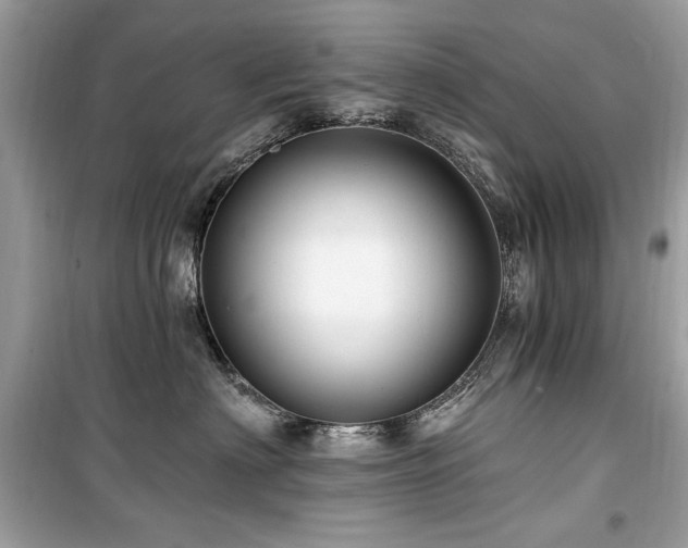 X0000099580622200805161237