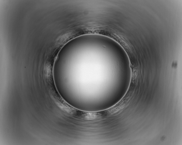 X0000099580623200805161237