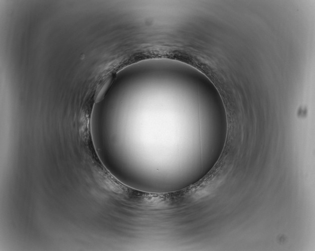 X0000099580624200805161237