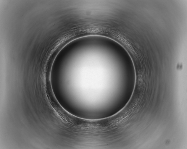 X0000099580626200805161236