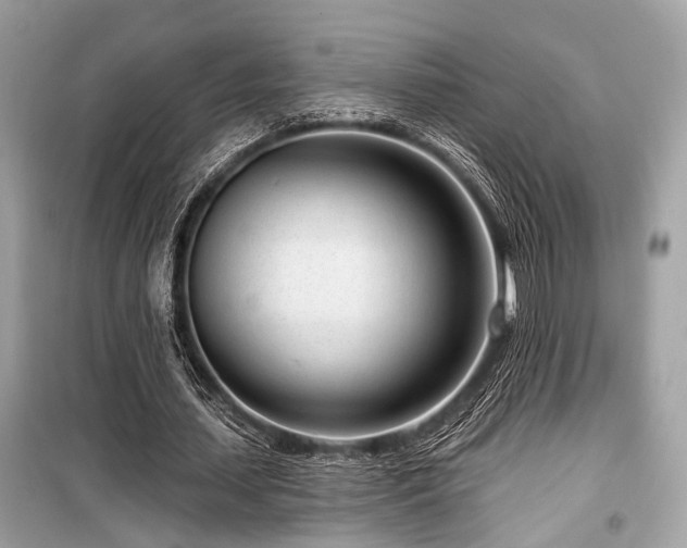 X0000099580627200805161236
