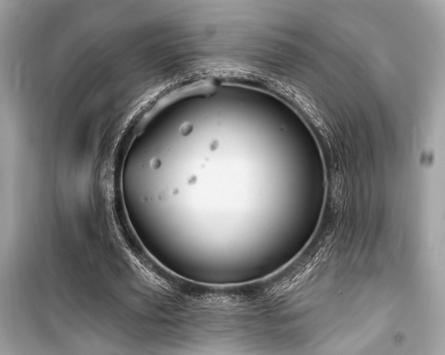 X0000099580629200805161236