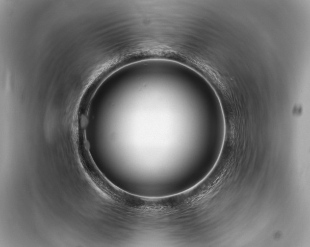 X0000099580630200805161236