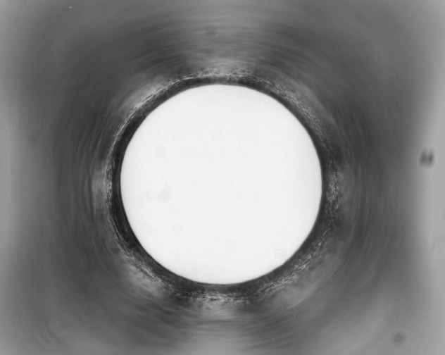 X0000099580632200805161236