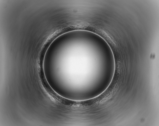 X0000099580634200805161236