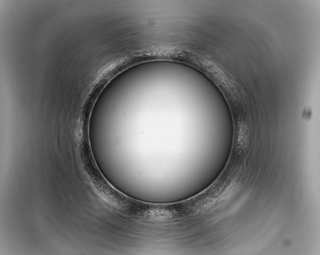 X0000099580636200805161236