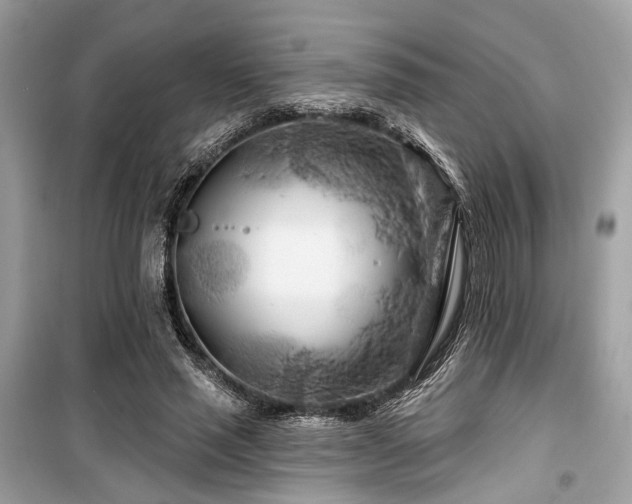 X0000099580637200805161236