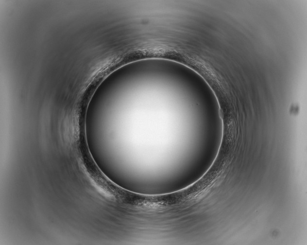 X0000099580638200805161236