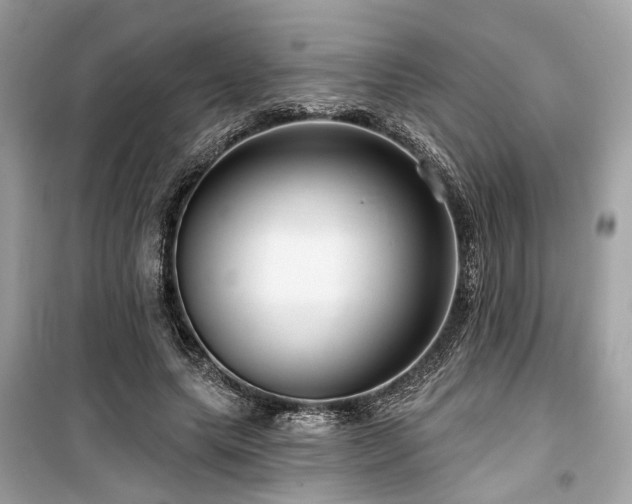 X0000099580639200805161236