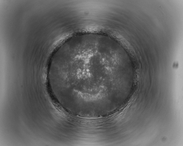 X0000099580640200805161236
