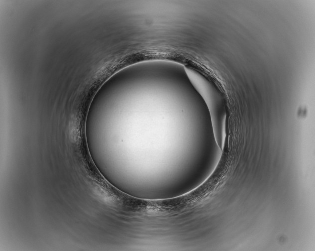 X0000099580641200805161236