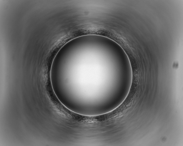 X0000099580642200805161236