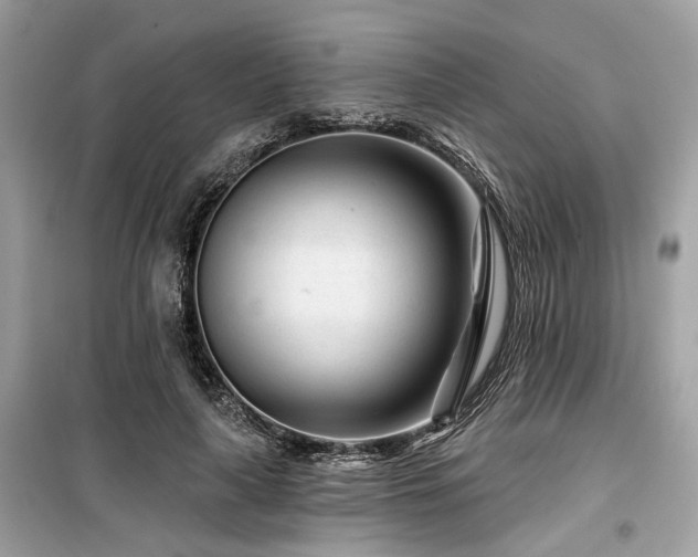 X0000099580643200805161236