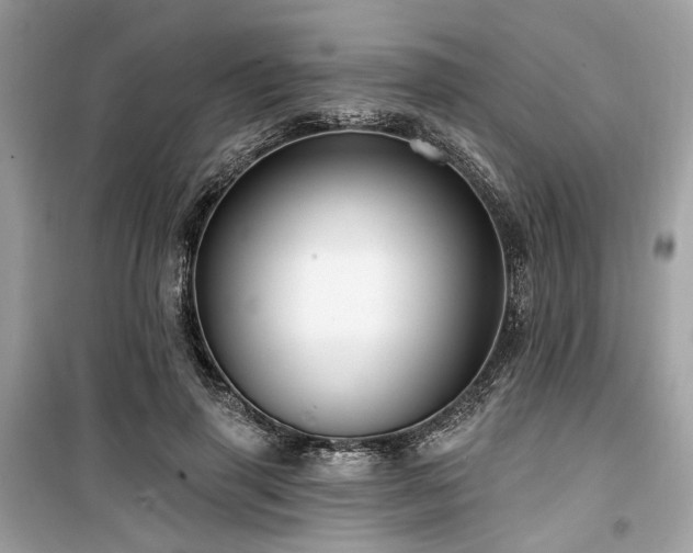 X0000099580645200805161236