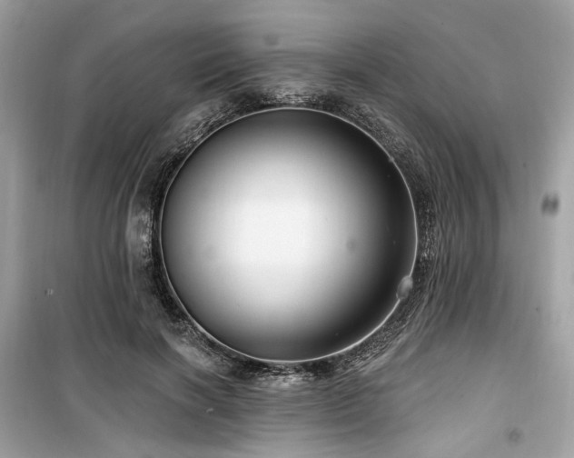 X0000099580646200805161236