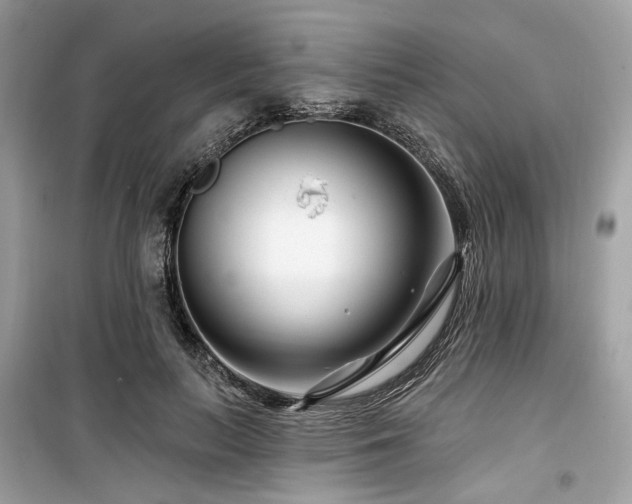 X0000099580647200805161236