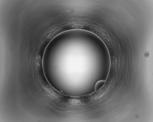 X0000099580649200805161236