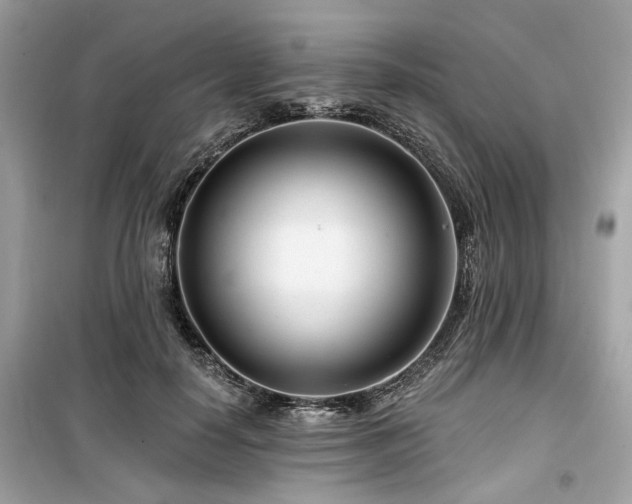 X0000099580650200805161236