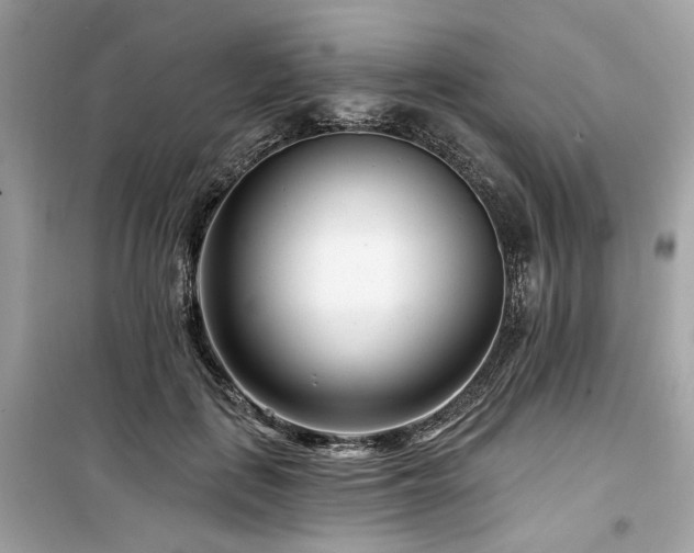 X0000099580651200805161237