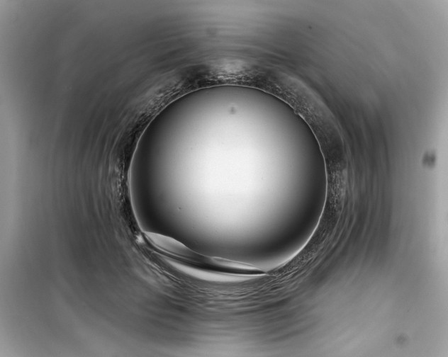 X0000099580653200805161237