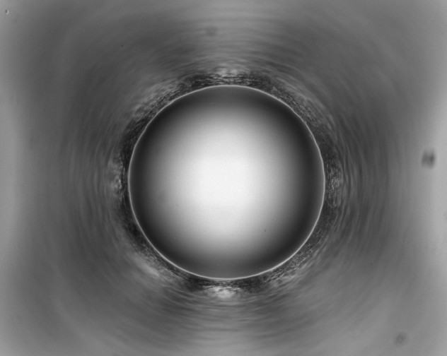 X0000099580654200805161237