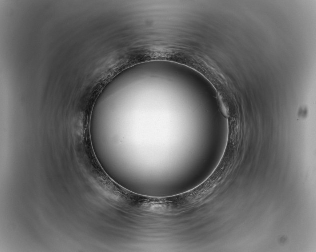 X0000099580655200805161237