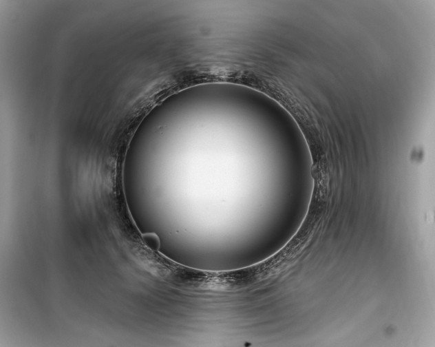 X0000099580656200805161237