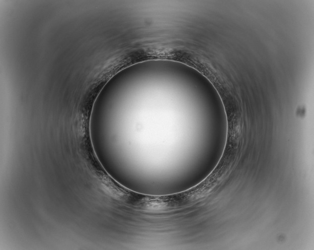 X0000099580658200805161237