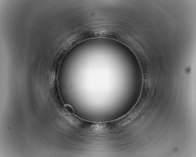 X0000099580660200805161237