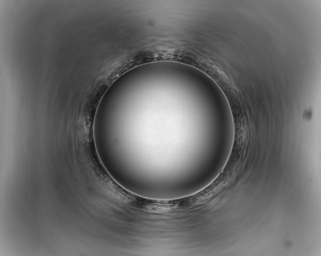 X0000099580661200805161237