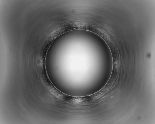 X0000099580662200805161237