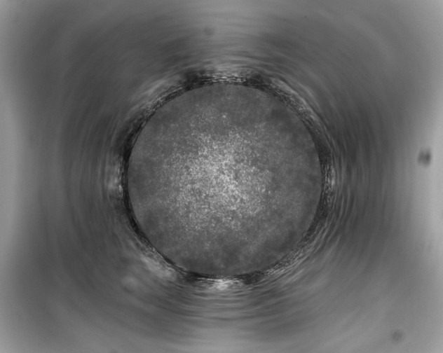 X0000099580663200805161237