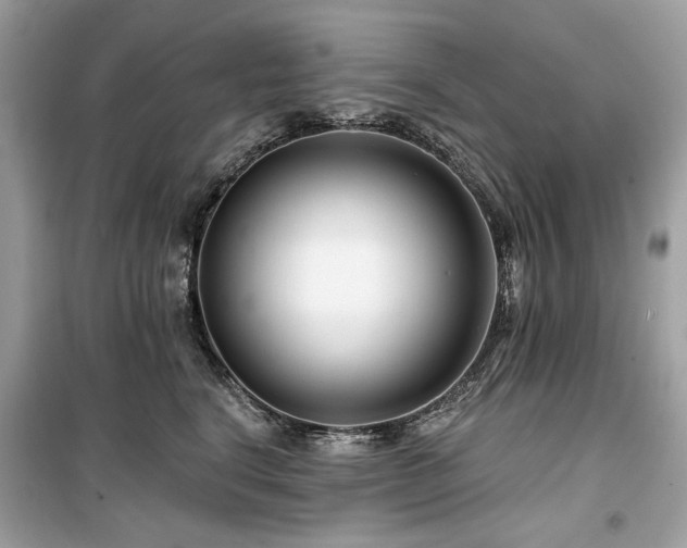 X0000099580664200805161237