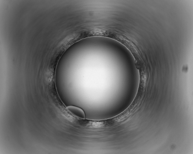 X0000099580665200805161237